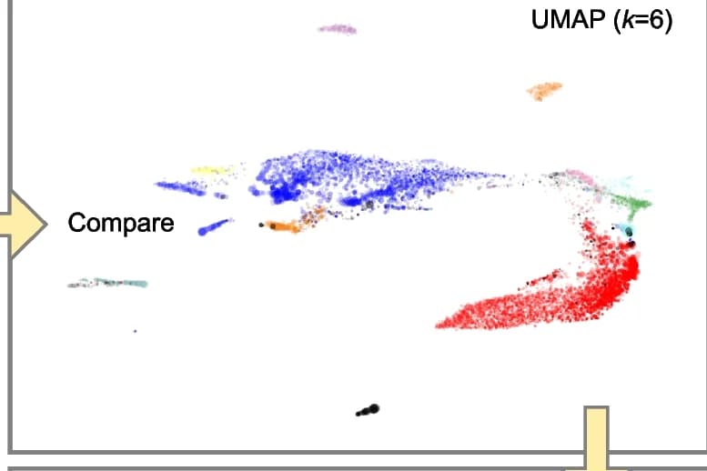 Open access visualization of UMAP, k-mer, Enterobacteriaceae contigs, Assembly data