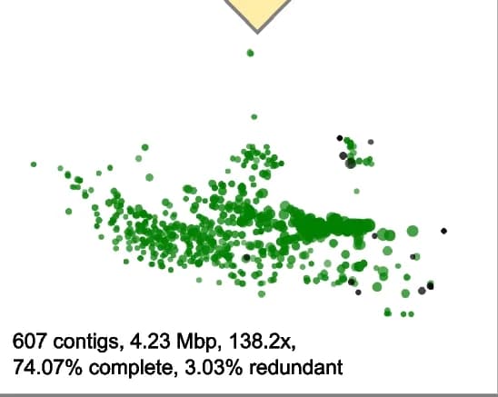 Open access visualization of Scatter Plot, Bubble Plot, MaxBin, Taxonomy, Spatial pattern
