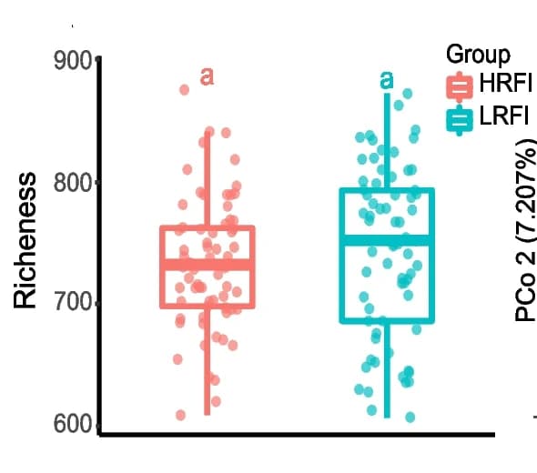 Open access visualization of Box Plot, Scatter Plot, Alpha Diversity, Richness, Microbiota