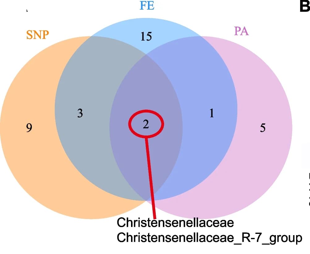 Open access visualization of Venn Diagram, SNP, Feed Efficiency, Propionate, Biomarkers