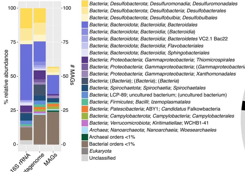 Open access visualization of Stacked Bar Plot, 16S rRNA Gene, Amplicon Sequencing, Shotgun Metagenomes, MAGs