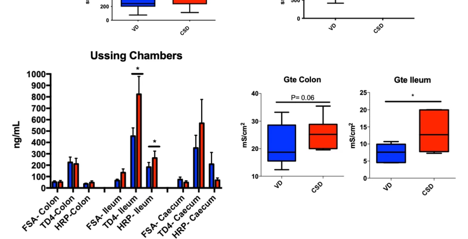 Open access visualization of Bar Plot, Error Bars, Box Plot, Clustered, Permeability