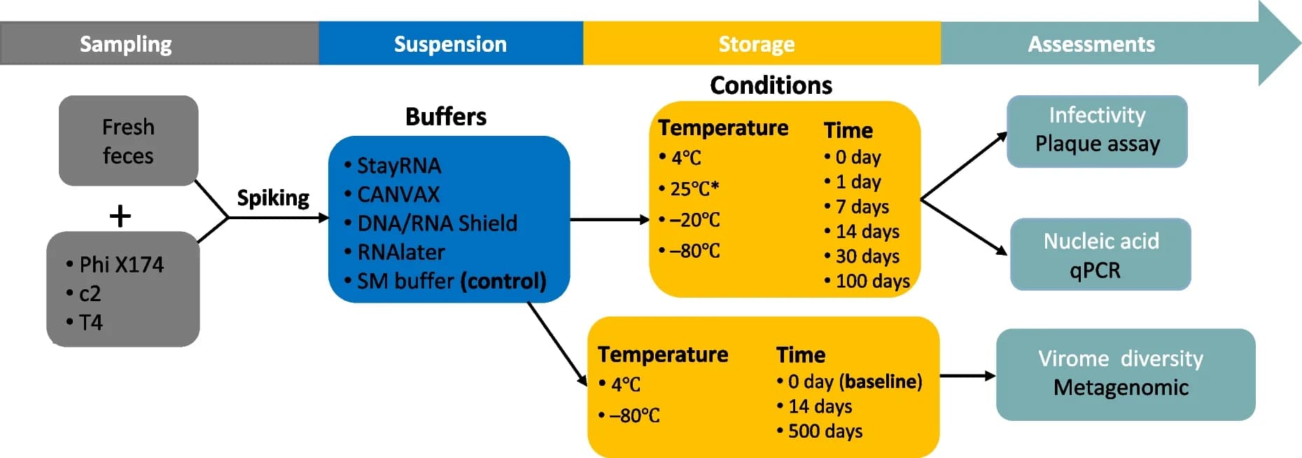 Open access visualization of Workflow, Flowchart, Phage, Fecal Samples, Storage
