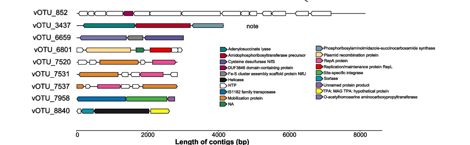 Open access visualization of Illustration, Genomic Maps, Open Reading Frames, ORFs, Proteins