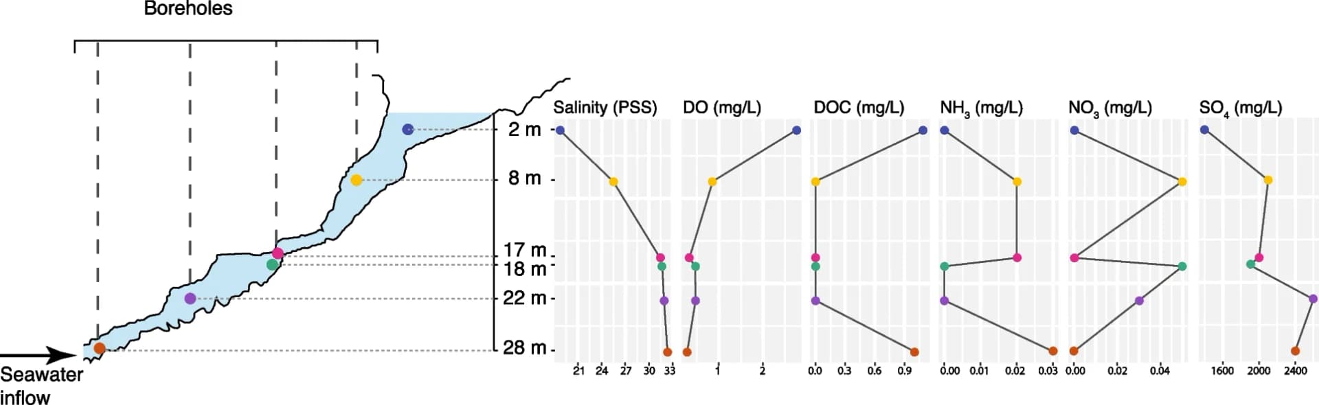 Open access visualization of Line Plot, Bundera Sinkhole, Topology, Sampling points, Shotgun metagenomic sequencing