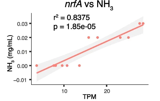 Open access visualization of Scatter Plot, Regression Plot, Nitrogen Cycling Genes, Sulphur Cycling Genes, Relative Abundance