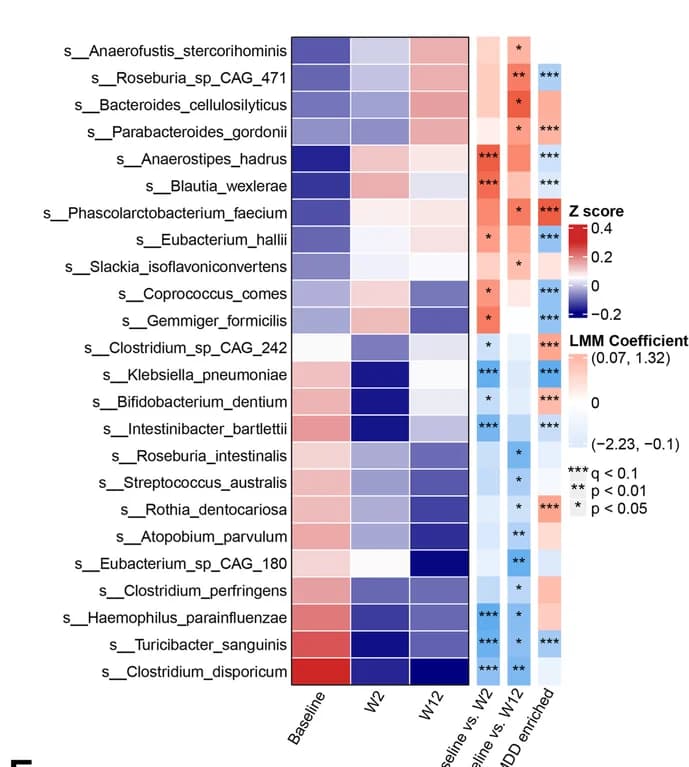Open access visualization of Heatmap, Clustered, Species abundance, Linear Mixed Models, LMM