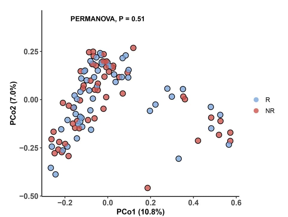 Open access visualization of Scatter Plot, PCA, PCoA plot, Microbial composition, BrayCurtis dissimilarities