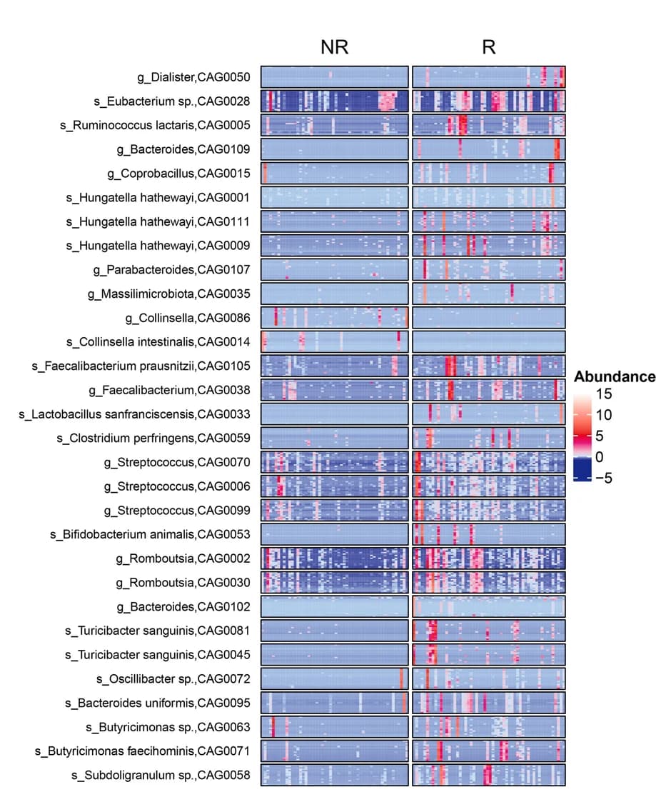Open access visualization of Heatmap, Co-abundance groups, Differentially abundant genes, Gene abundance, Baseline
