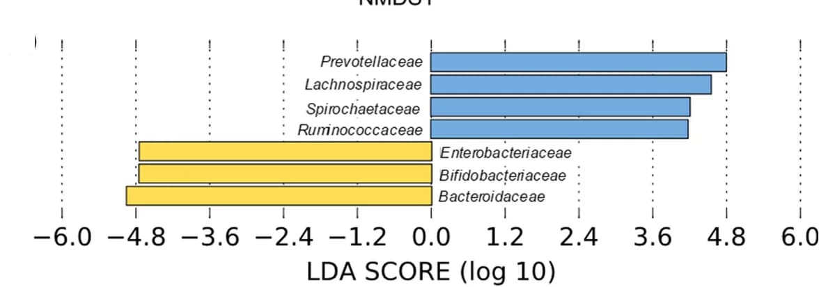 Open access visualization of Bar Plot, Bacterial Families, Differential Abundance, Children, Infants