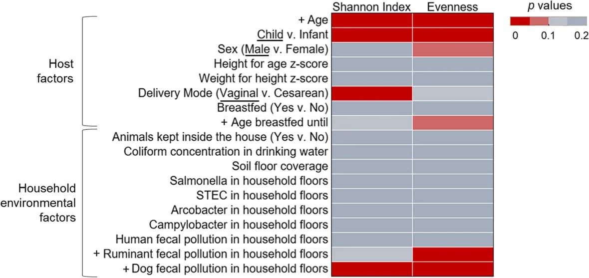 Open access visualization of Heatmap, Gut Microbiome, Household Environment, Survey Factors, Alpha Diversity