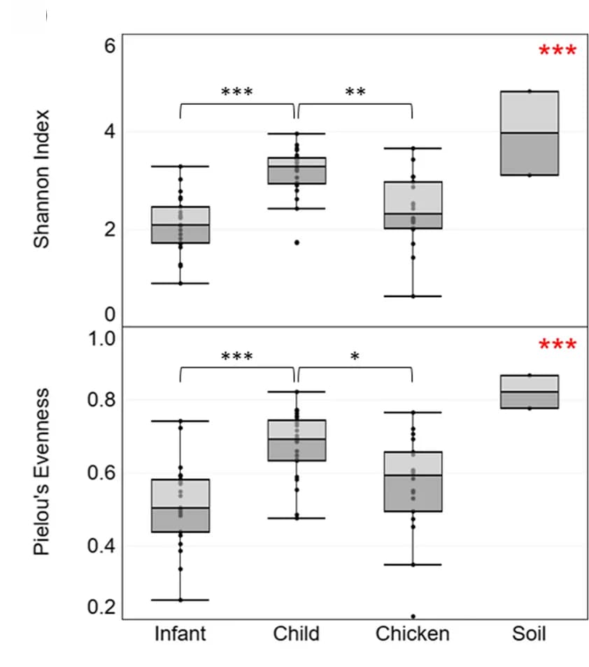 Open access visualization of Box Plot, Alpha Diversity, Shannon Index, Pielou's Evenness, Kruskal-Wallis Test