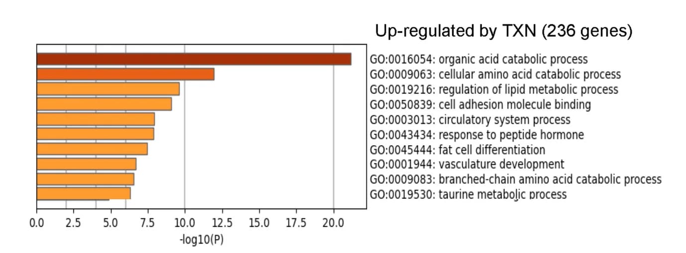 Open access visualization of Bar Plot, Upregulated Genes, Metabolic Pathways
