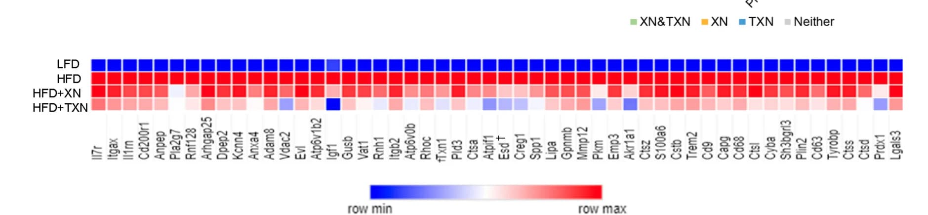 Open access visualization of Heatmap, Adipose Tissue, Network Genes, IR-ATM, Gene Signature