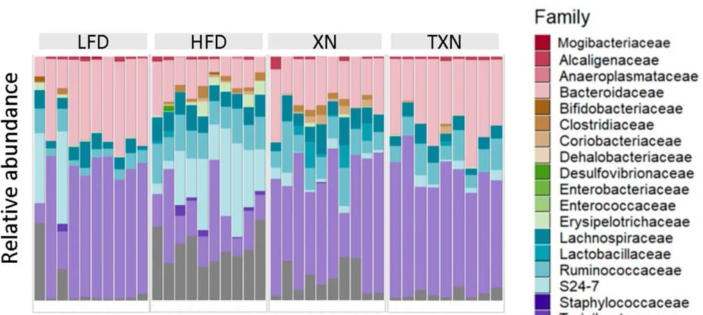 Open access visualization of Stacked Bar Plot, Microbes, Treatment Groups, Relative Abundance
