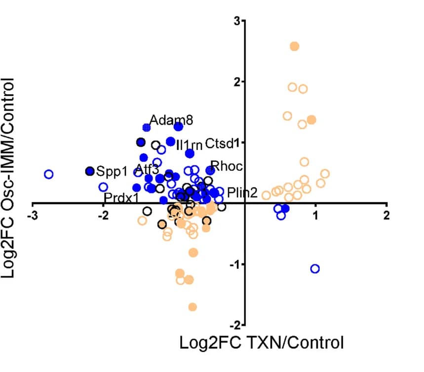 Open access visualization of Scatter Plot, Volcano Plot, Gene Expression, TXN Treatment, Macrophage Cell Lines