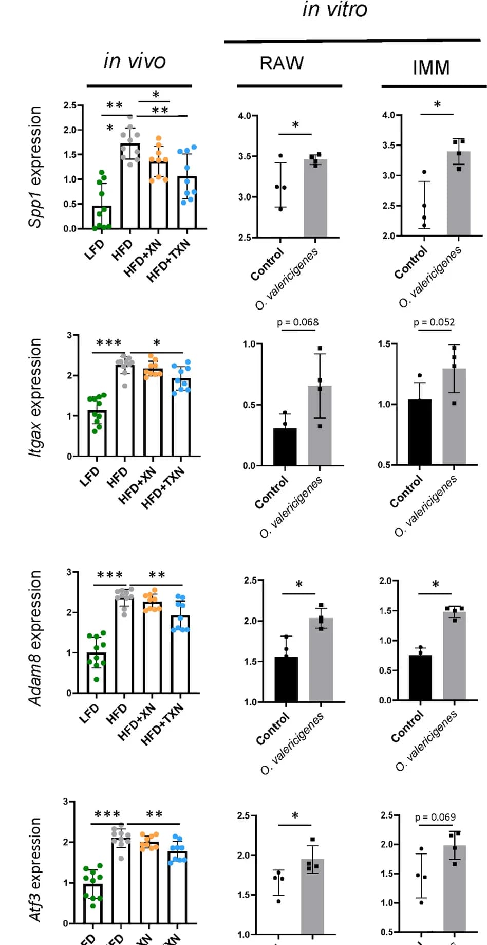 Open access visualization of Bar Plot, Error Bars, Scatter Plot, Gene Expression, TXN Treatment