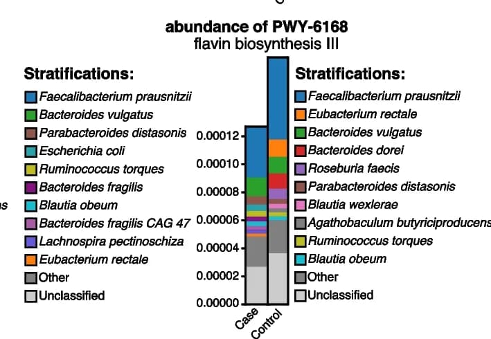 Open access visualization of Stacked Bar Plot, Flavin Biosynthesis, Fungi, Species Abundance