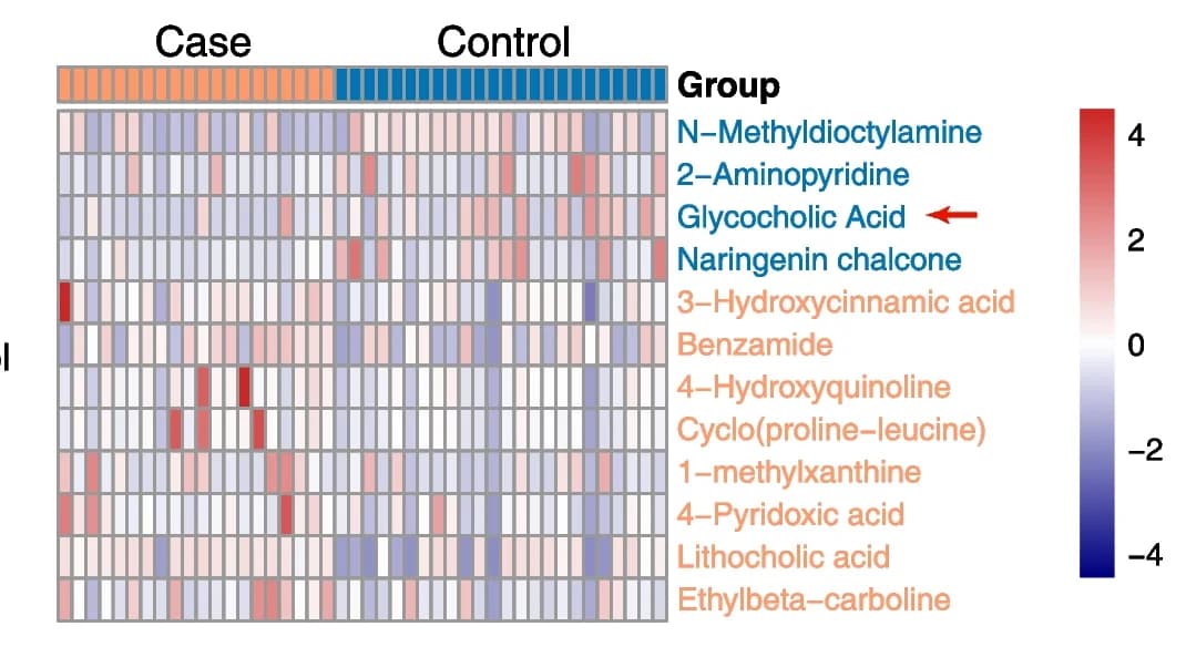 Open access visualization of Heatmap, Fecal metabolites, Heat map, Case group, Control group