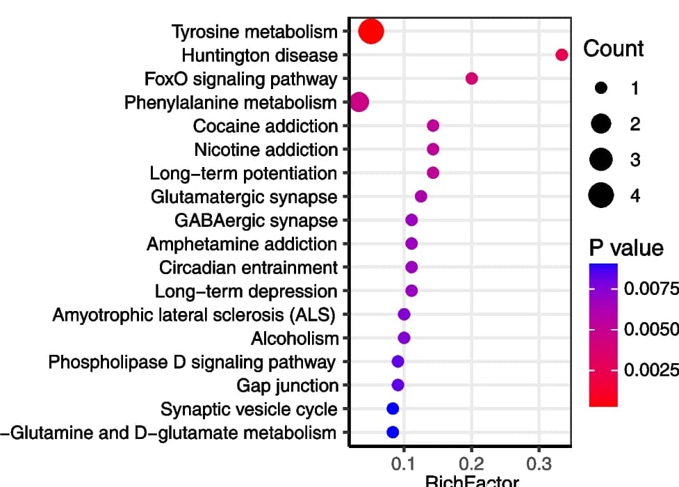 Open access visualization of Bubble Plot, Scatter Plot, KEGG pathways, Serum metabolites