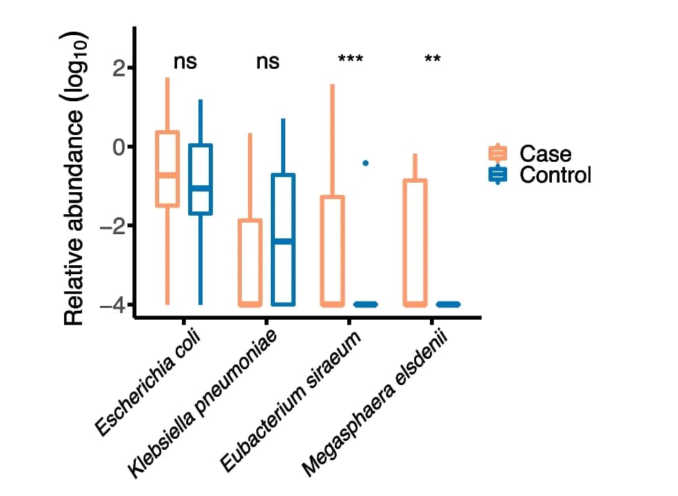 Open access visualization of Box Plot, Relative Abundance, Species, Fecal Metagenomics Samples, Case Group