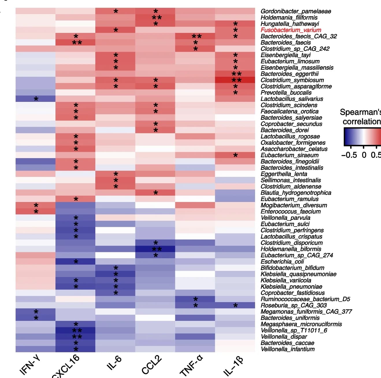 Open access visualization of Heatmap, Clustered, Spearman's correlation, Species abundance, Serum inflammatory cytokines