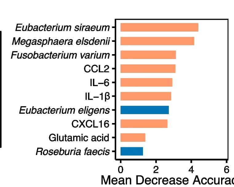 Open access visualization of Bar Plot, Mean decrease accuracy, Markers, CADASIL, Enrichment