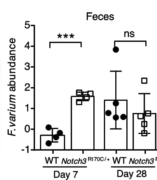 Open access visualization of Bar Plot, Error Bars, Scatter Plot, F. varium, qPCR