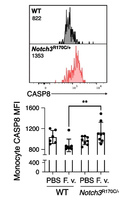 Open access visualization of Histogram, Bar Plot, Error Bars, Peripheral Blood, F. varium