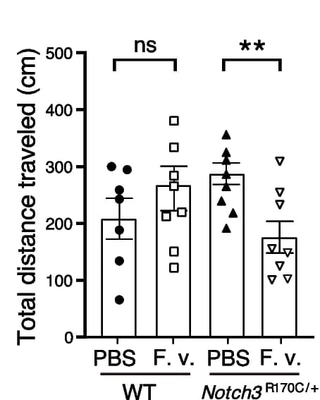 Open access visualization of Bar Plot, Error Bars, Distance Traveled, Mice, F. varium