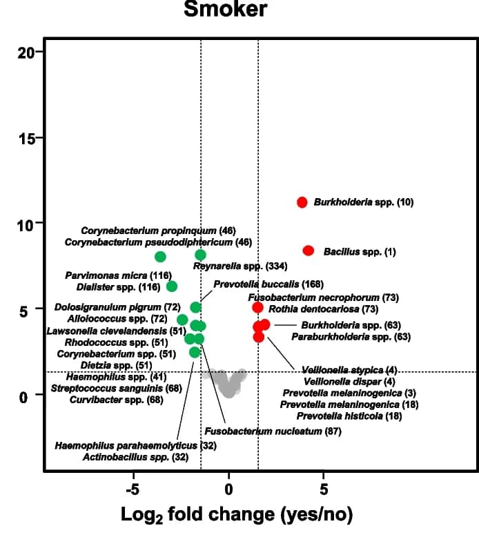 Open access visualization of Volcano Plot, Scatter Plot, Volcano Plots, ASVs, Nasopharynx