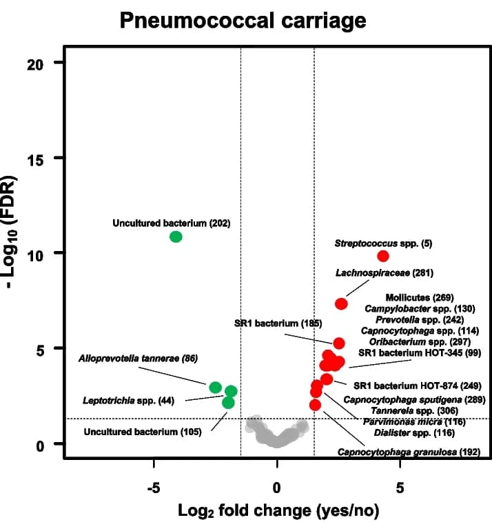 Open access visualization of Volcano Plot, Scatter Plot, Volcano Plots, ASVs, Oropharynx