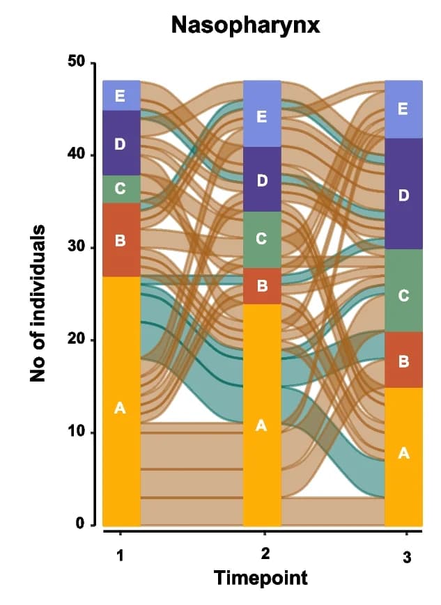 Open access visualization of Stacked Bar Plot, Sankey, Nasopharyngeal Microbiota, Pneumococcus, Alluvial Plot