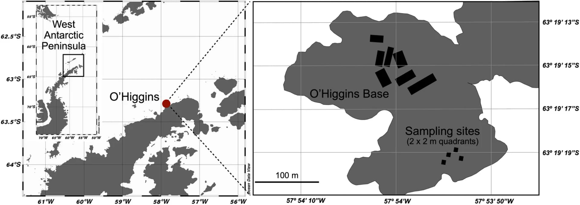 Open access visualization of Geo Map, Sampling Site, O'Higgins Base Station, West Antarctic Peninsula