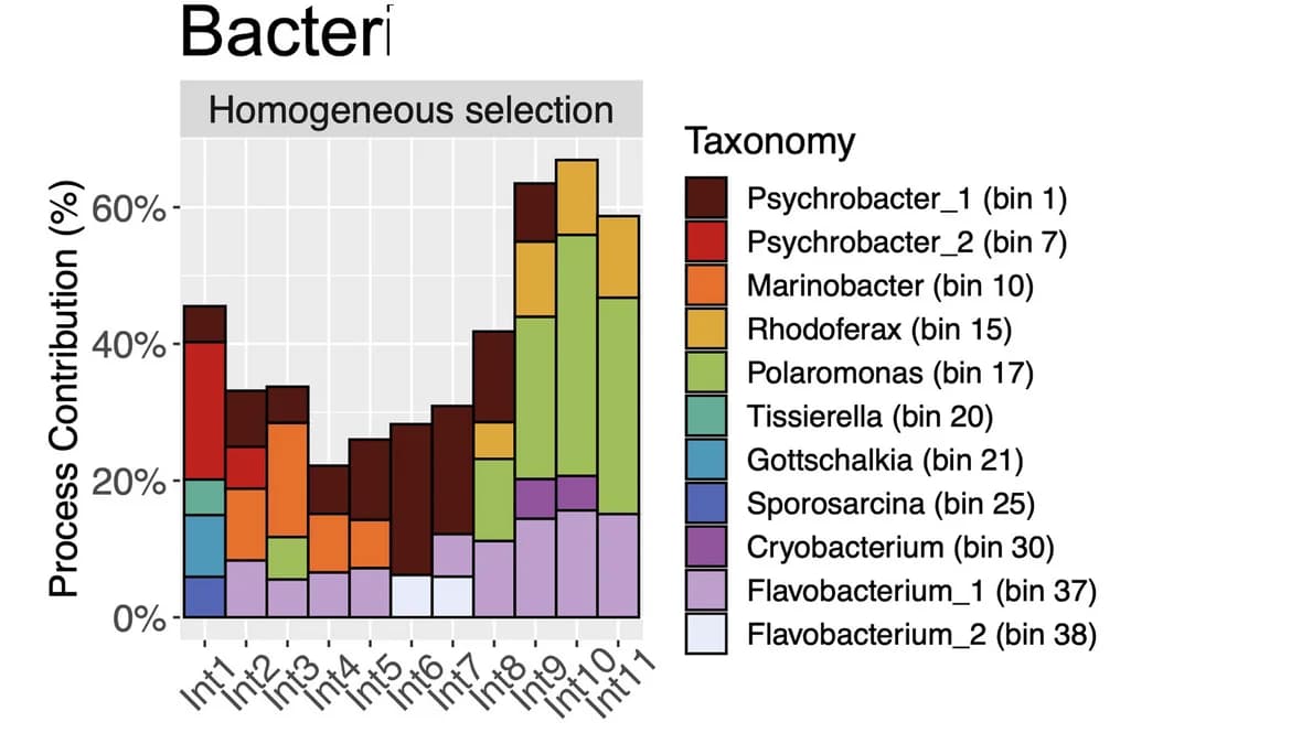 Open access visualization of Stacked Bar Plot, Bacterial taxa, Eukaryotic taxa, Ecological processes, Community assembly