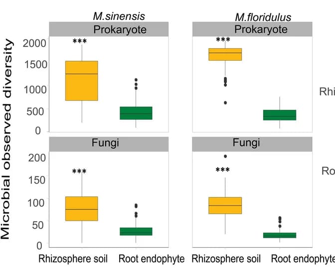 Open access visualization of Box Plot, OTU Richness, Plant Microhabitats, Kruskal Wallis Test, Prokaryotic Communities