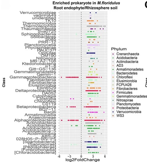 Open access visualization of Scatter Plot, Volcano Plot, OTUs, Root Endophyte, Rhizosphere Soil