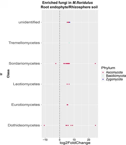 Open access visualization of Scatter Plot, OTUs, Root Endophyte, Rhizosphere Soil, M. floridulus