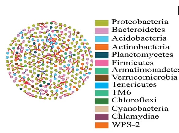 Open access visualization of Network, Root Endophytic, Prokaryotic Co-occurrence Network, M. floridulus