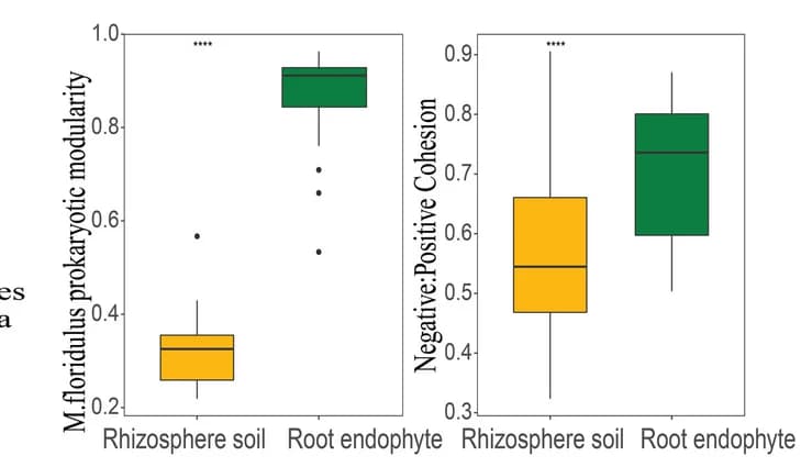 Open access visualization of Box Plot, Co-occurrence, Topological Features, Modularity, Cohesion Ratio