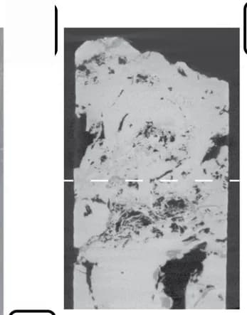 Open access visualization of Microscopy, Vertical Section, Porosity