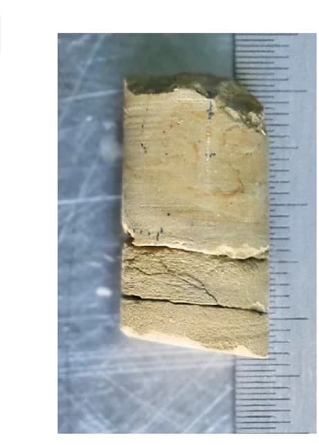 Open access visualization of Photo, Plug, Delithified Siliceous Marlstone, Delithified Calcareous Mudstone