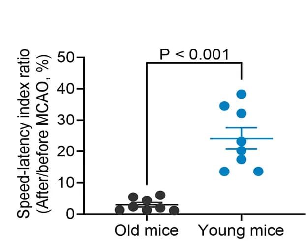 Open access visualization of Scatter Plot, Error Bars, Rotarod Performance
