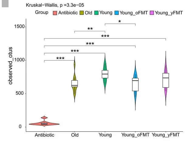 Open access visualization of Violin Plot, Box Plot, Alpha Diversity, Gut Microbiota, Observed OTUs