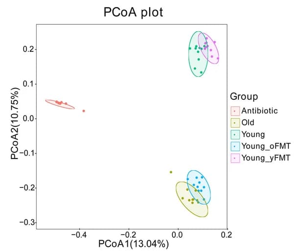 Open access visualization of Scatter Plot, PCA, Beta Diversity, Gut Microbiota, PCoA