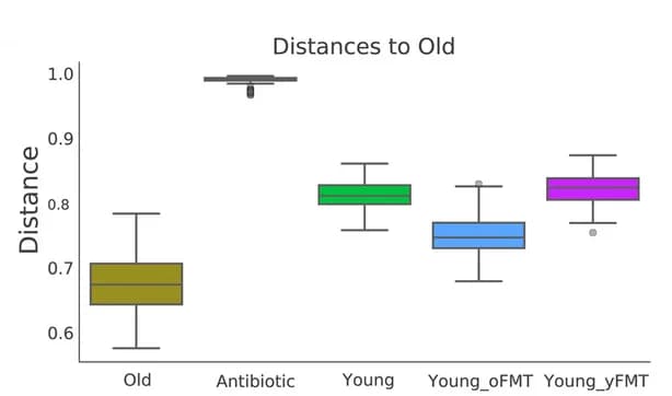 Open access visualization of Box Plot, Beta Diversity, Gut Microbiota, ANOSIM, Jaccard Distance