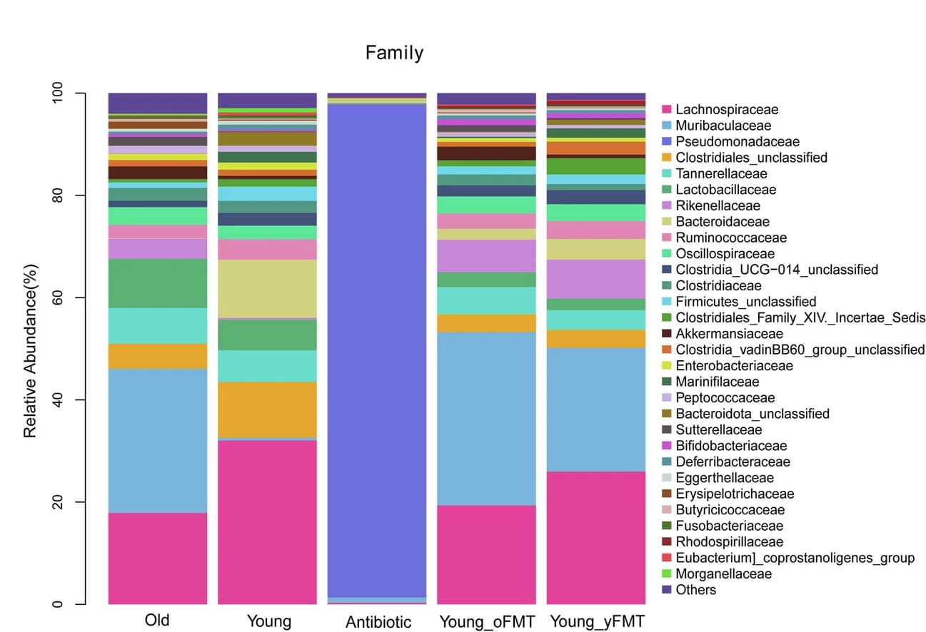 Open access visualization of Stacked Bar Plot, Relative Abundance, Gut Microbiota, Taxa, Family Level