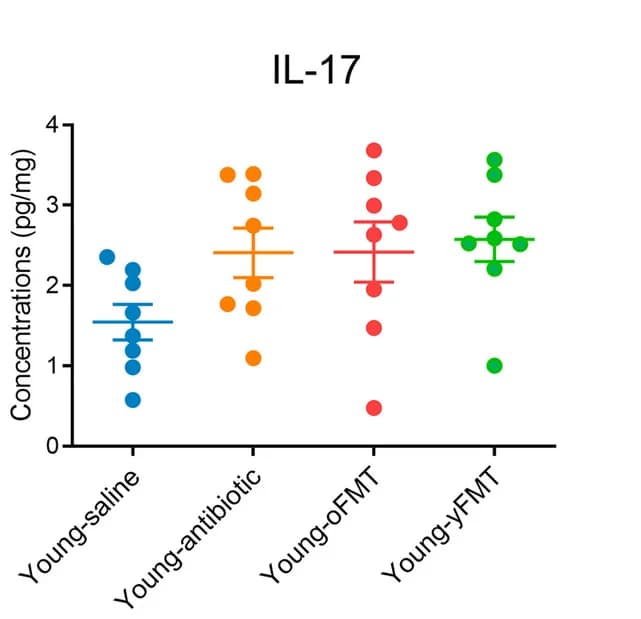 Open access visualization of Scatter Plot, Error Bars, IL-17, Concentration, Brain