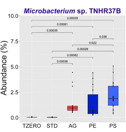 Open access visualization of Box Plot, Boxplots, Species abundance, Phyla, Shotgun metagenomics