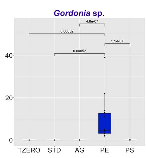 Open access visualization of Box Plot, Boxplots, Species abundance, Phyla, Shotgun metagenomics